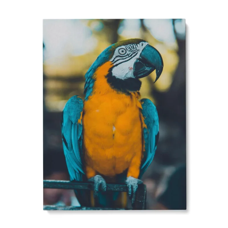 Panneau Bienvenue En Bois 'Welcome To Paradise' Avec Perroquets Colorés Et Corde En Jute – Style Hawaïen Tropical Suspendu