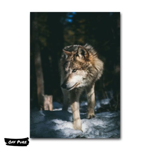 loup-tableau-poster