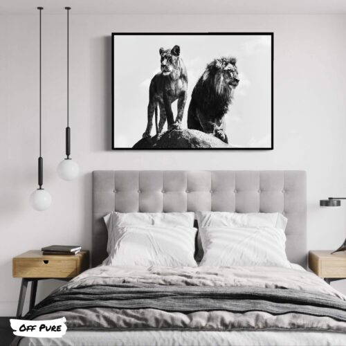 cadre-lion-lionne-noir-et-blanc