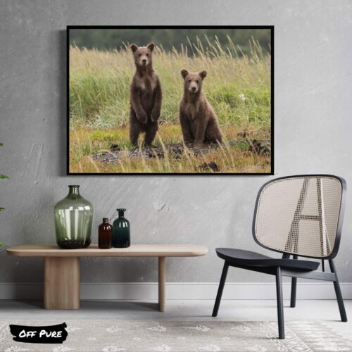 affiche-ours
