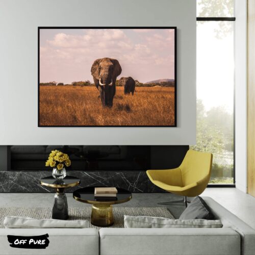 decoration-elephant-elephants-afrique