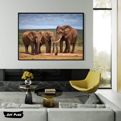 decoration-elephant-jeunes-elephants