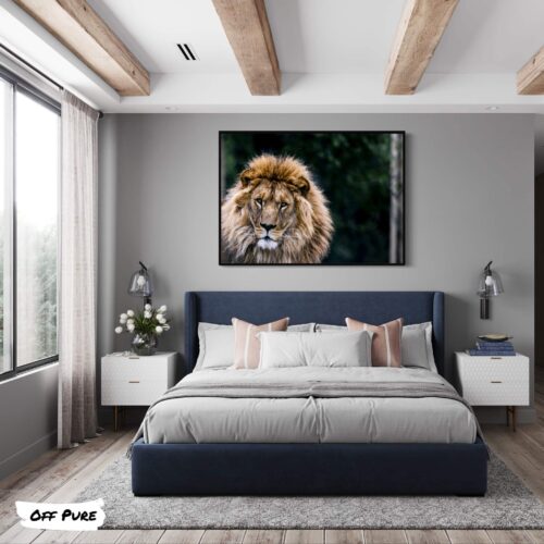 poster-lion-couleur