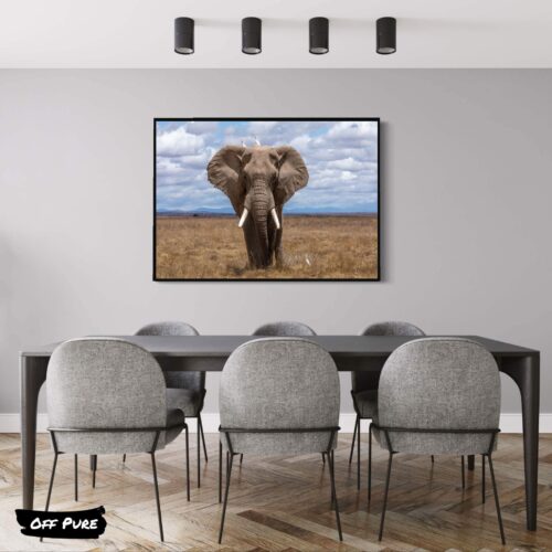 decoration-elephant-elephant-majestueux
