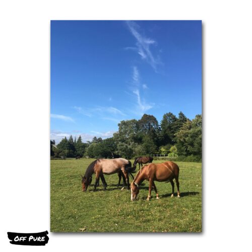 tableau-toile-chevaux-poster