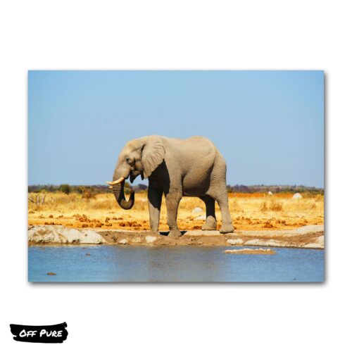 poster-elephant-elephant-lac