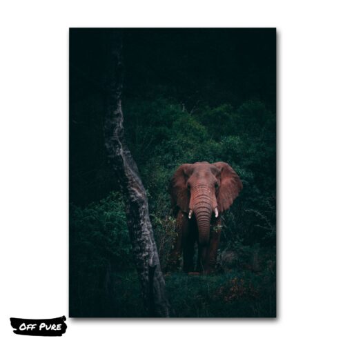 poster-elephant-jungle