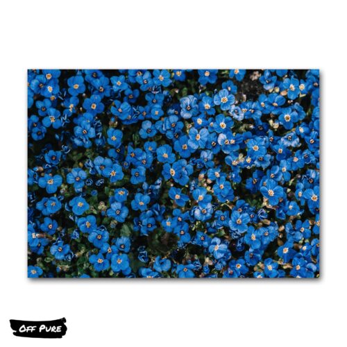 poster-tableau-fleur-bleu