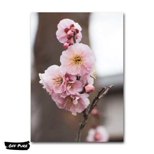 poster-tableau-japonais-fleurs