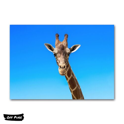 girafe-tableau-poster
