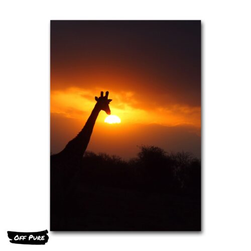 peinture-girafe-poster