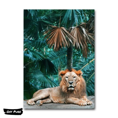 tableau-lion-colore-poster
