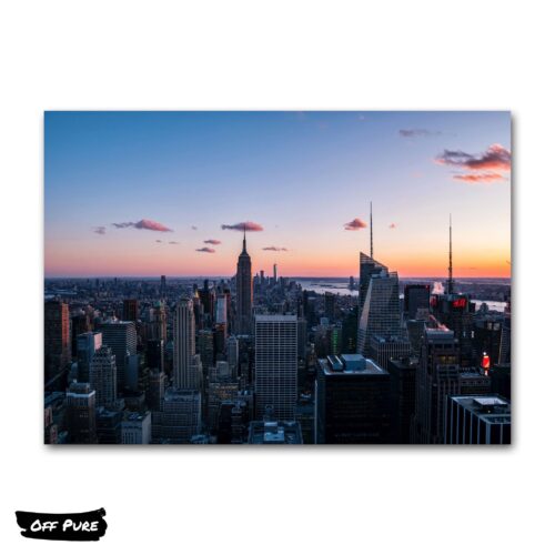 tableau-new-york-rose-poster