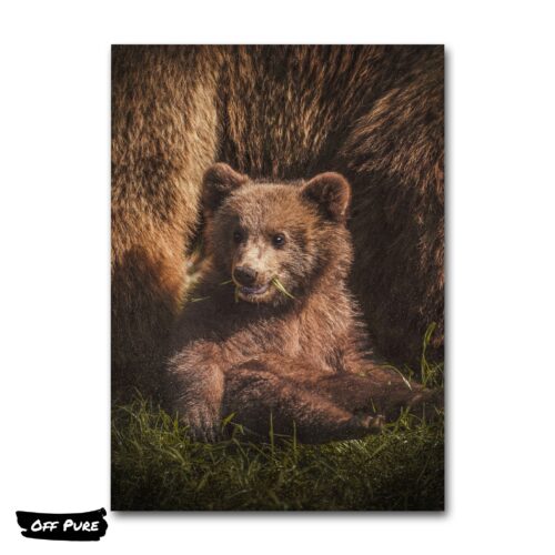 tableau-ours-bebe-poster