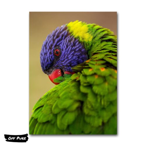 perroquet-en-tableau-poster