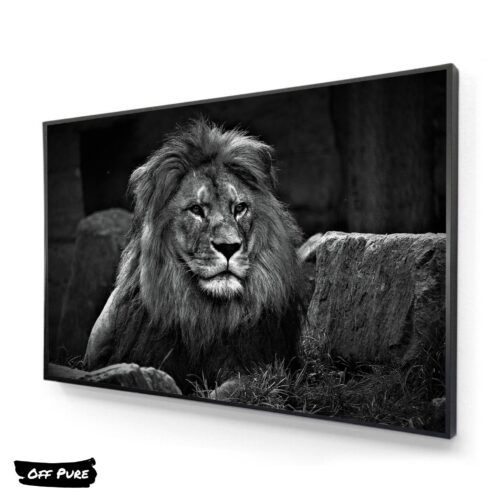 photo-lion-noir-et-blanc-tableau