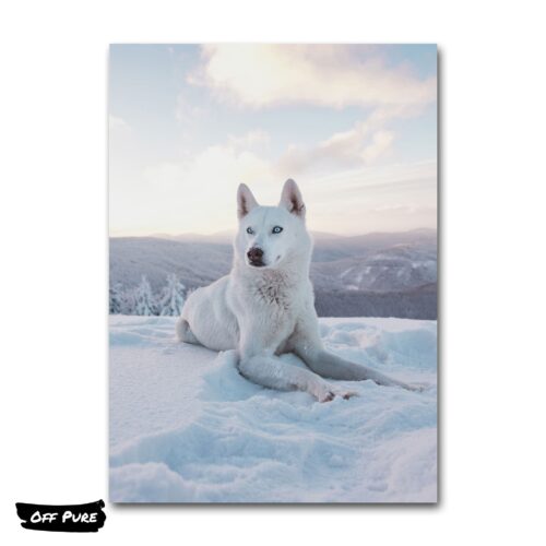 tableau-loup-blanc-poster