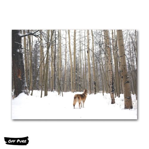 tableau-loup-foret-poster