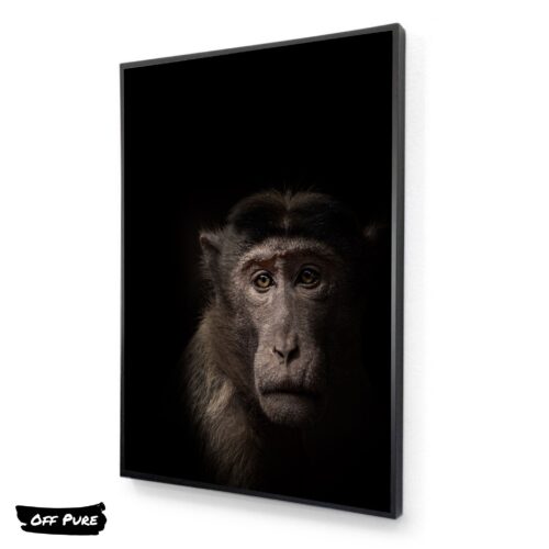 toile-chimpanze-tableau
