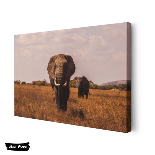 toile-elephant-elephants-afrique