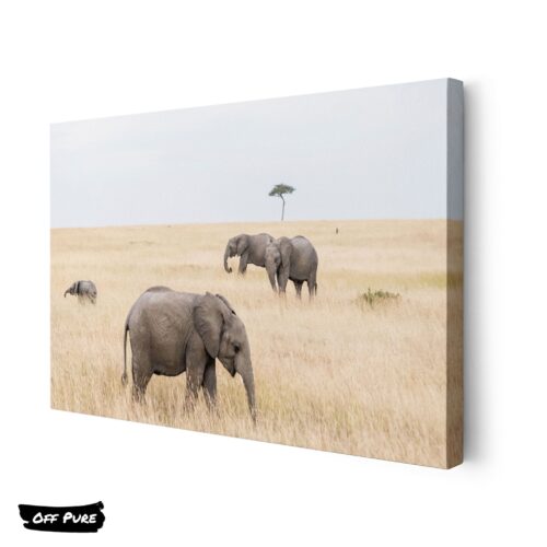 toile-elephant-elephants-savane