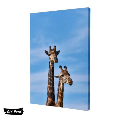 girafe-poster-toile