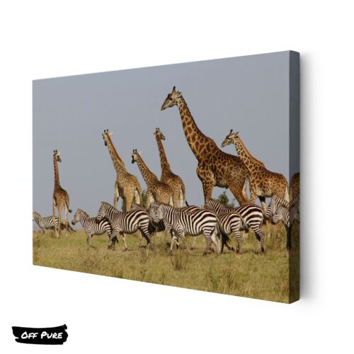 tableau-girafes-toile