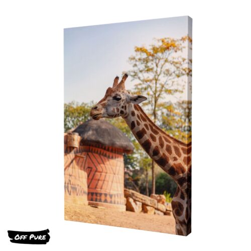 girafe-tableau-couleurs-toile