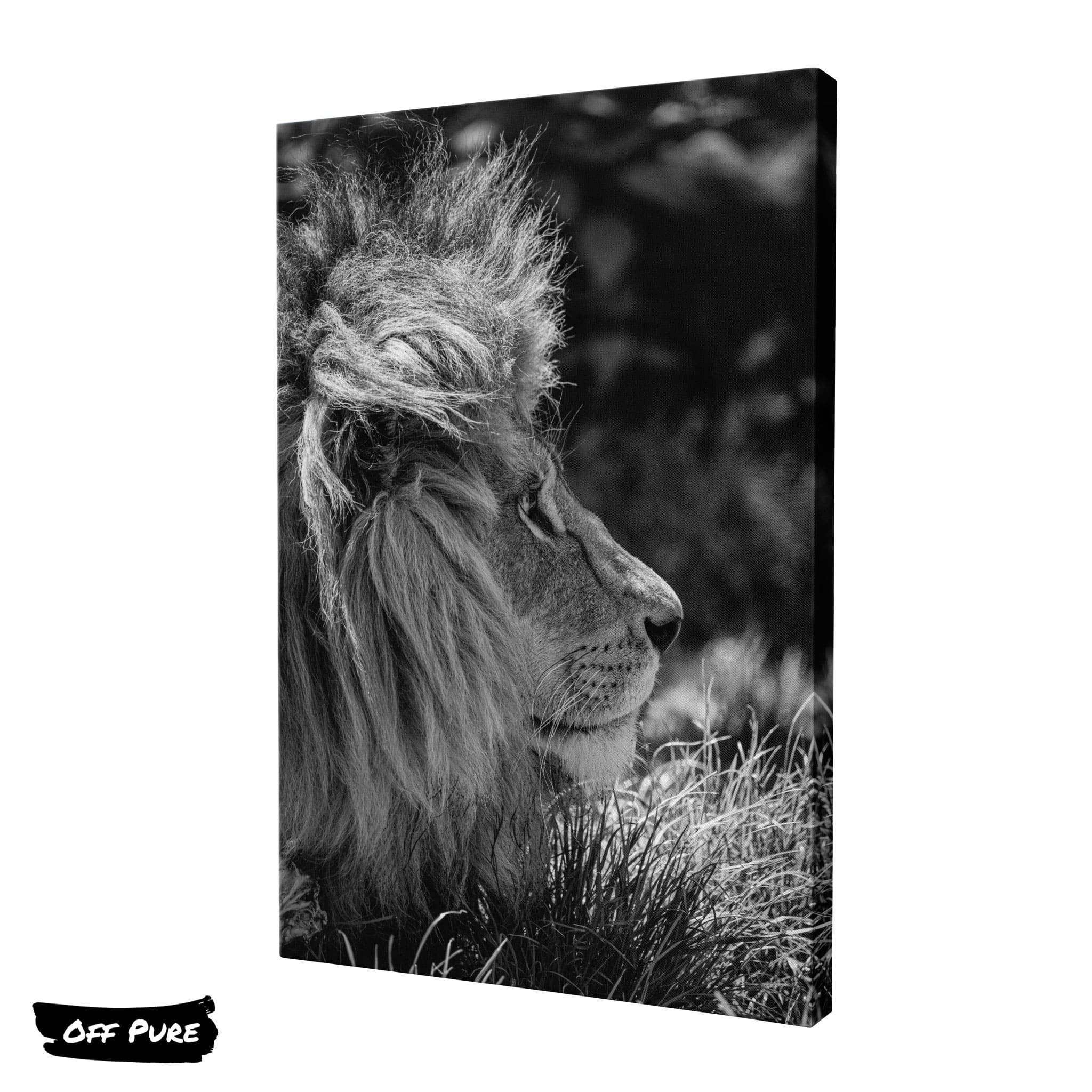 Tableau Toile Déco Moderne Lion - 50x100cm - Tulup - Neuf Sous Film